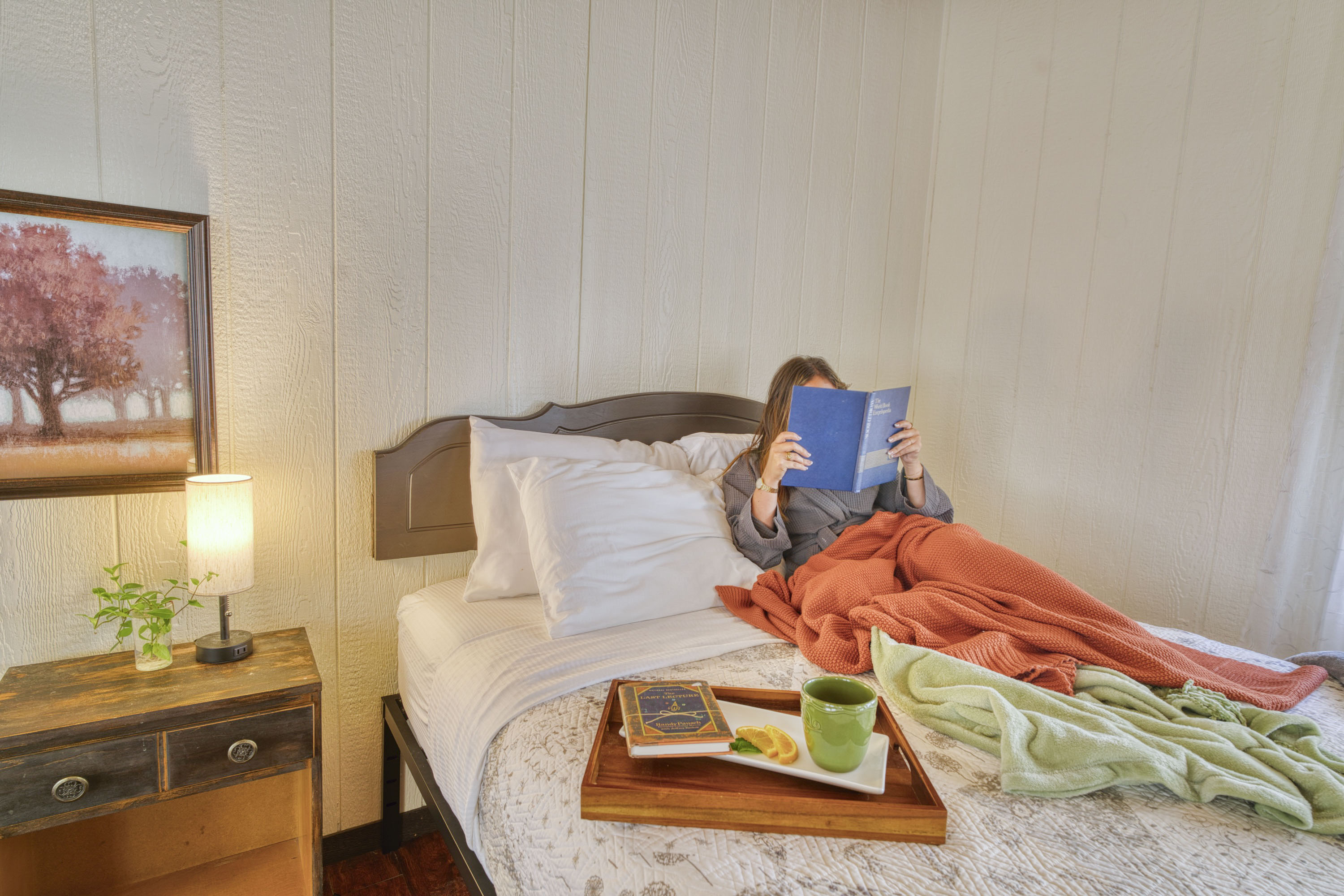 rental photo