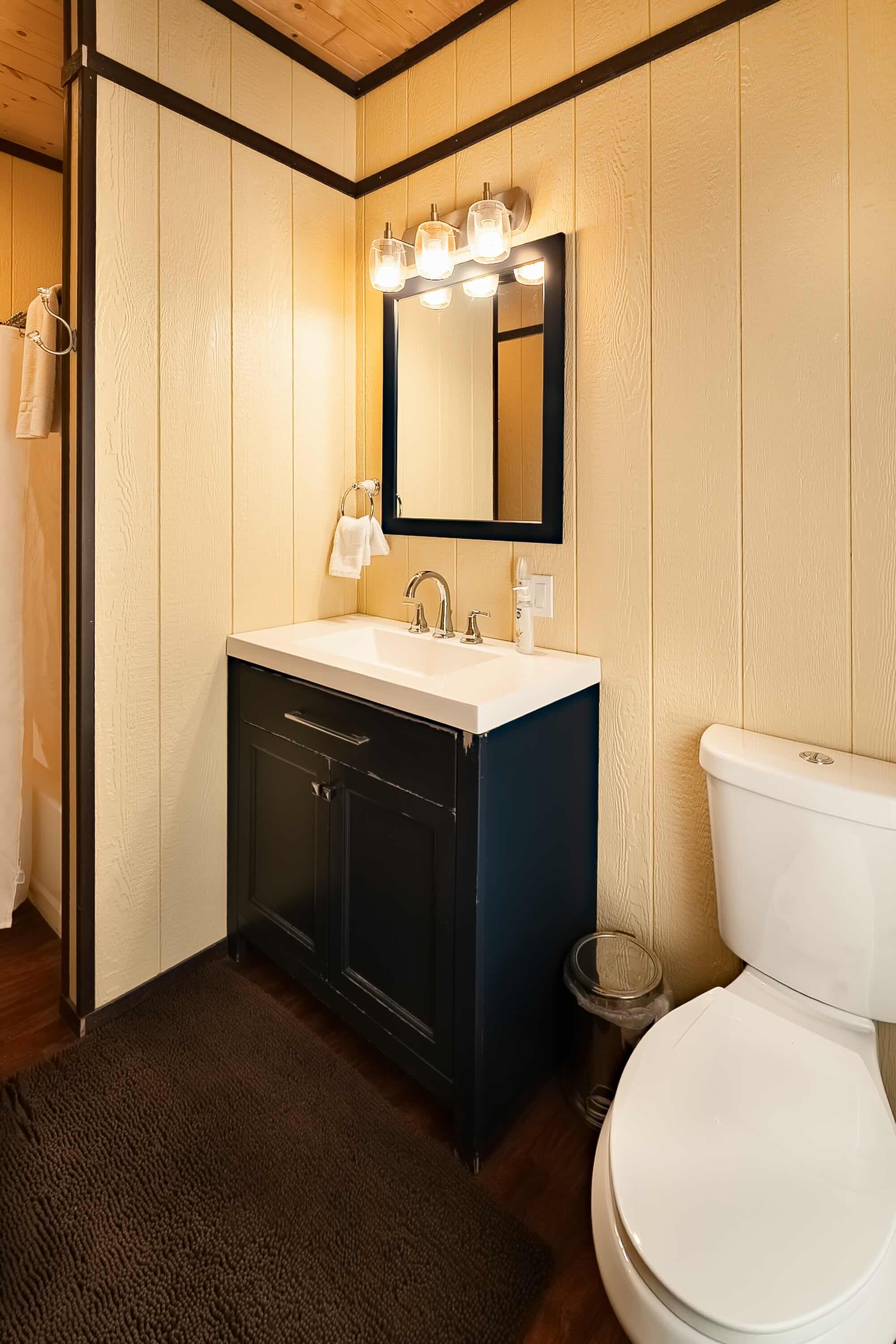 rental photo